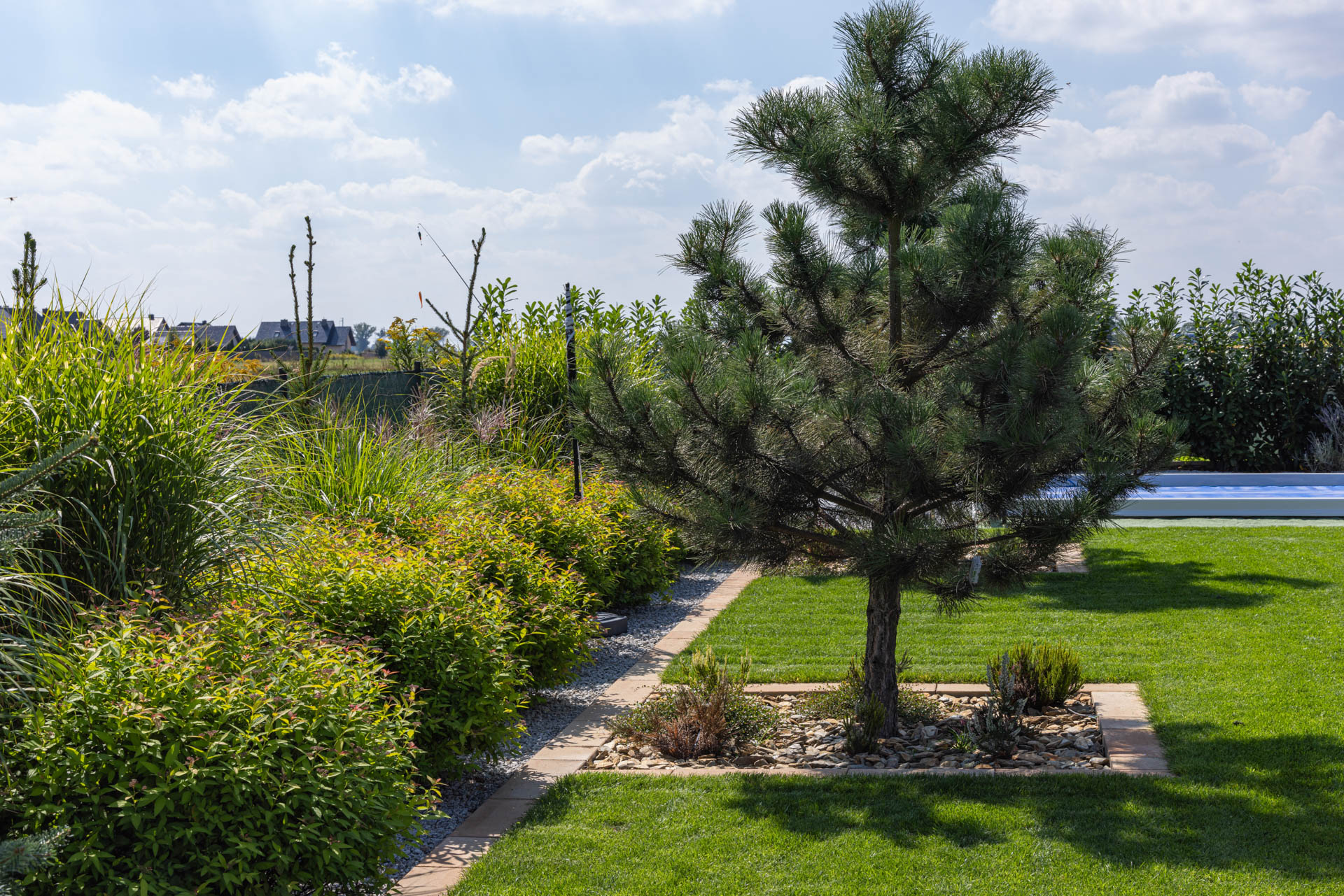 Opaska z kostek brukowych wokół drzewa w ogrodzie