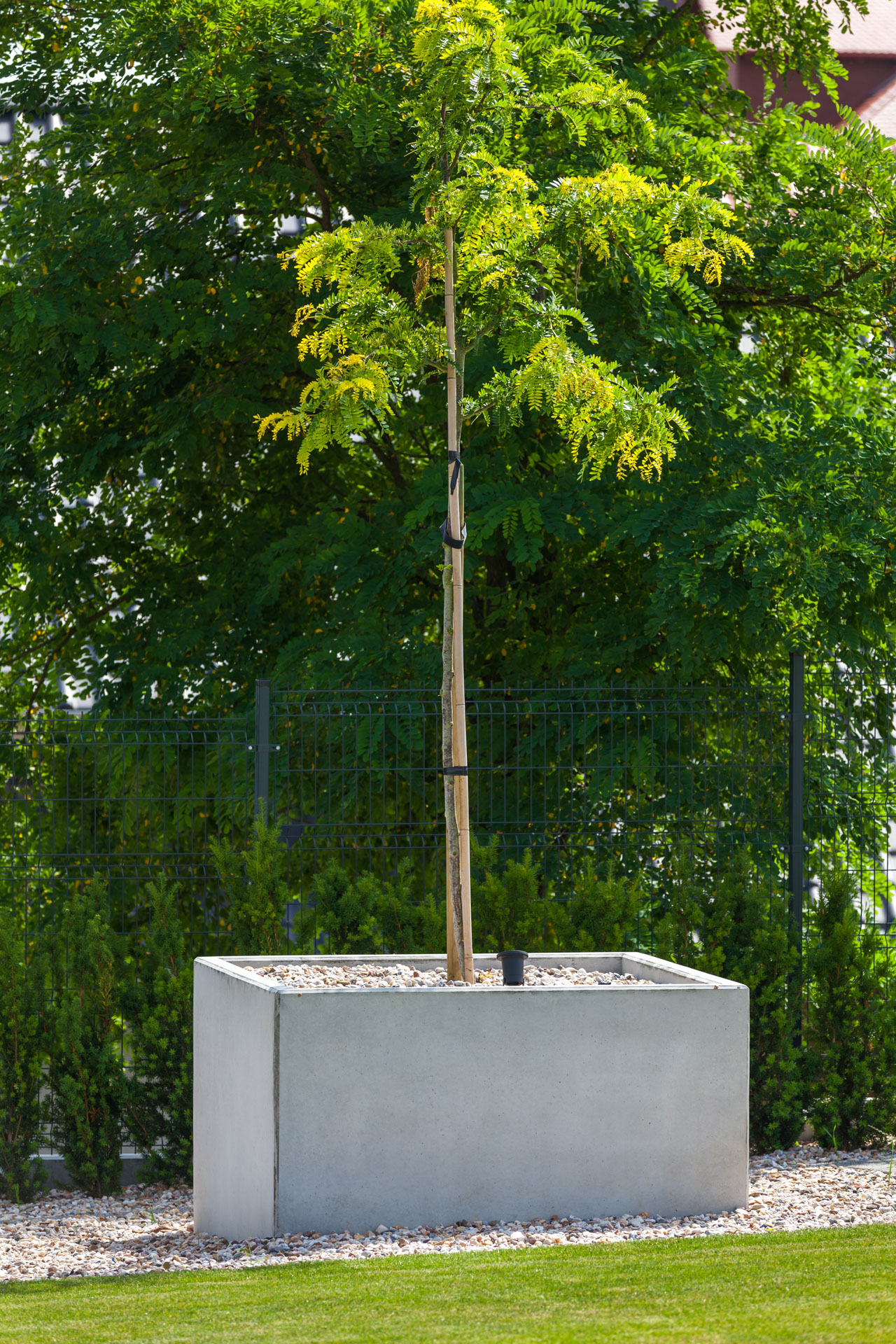Betonowa donica Cubo 150