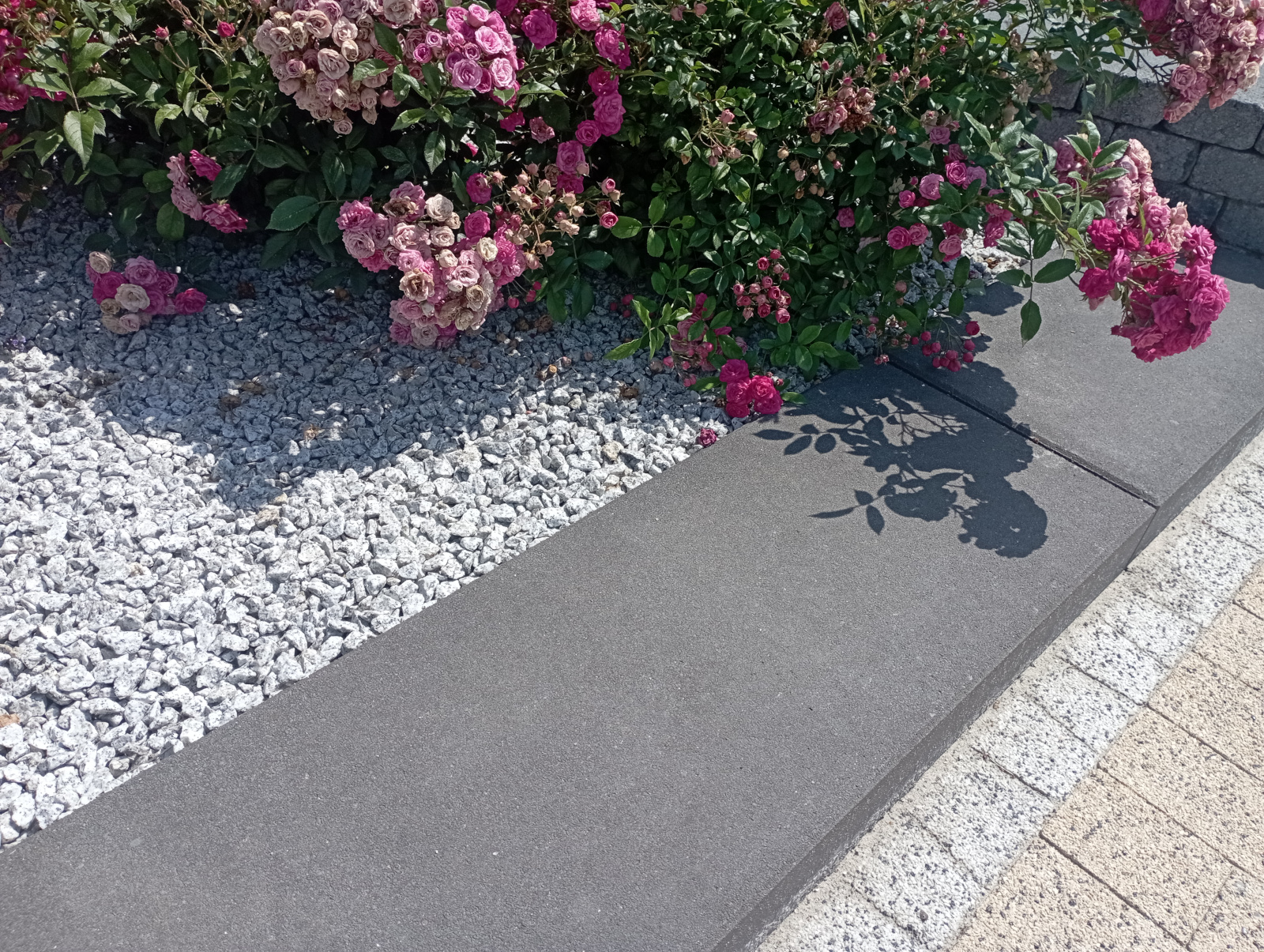 Stopień schodowy Scalino oddziela ścieżkę od kwietnika